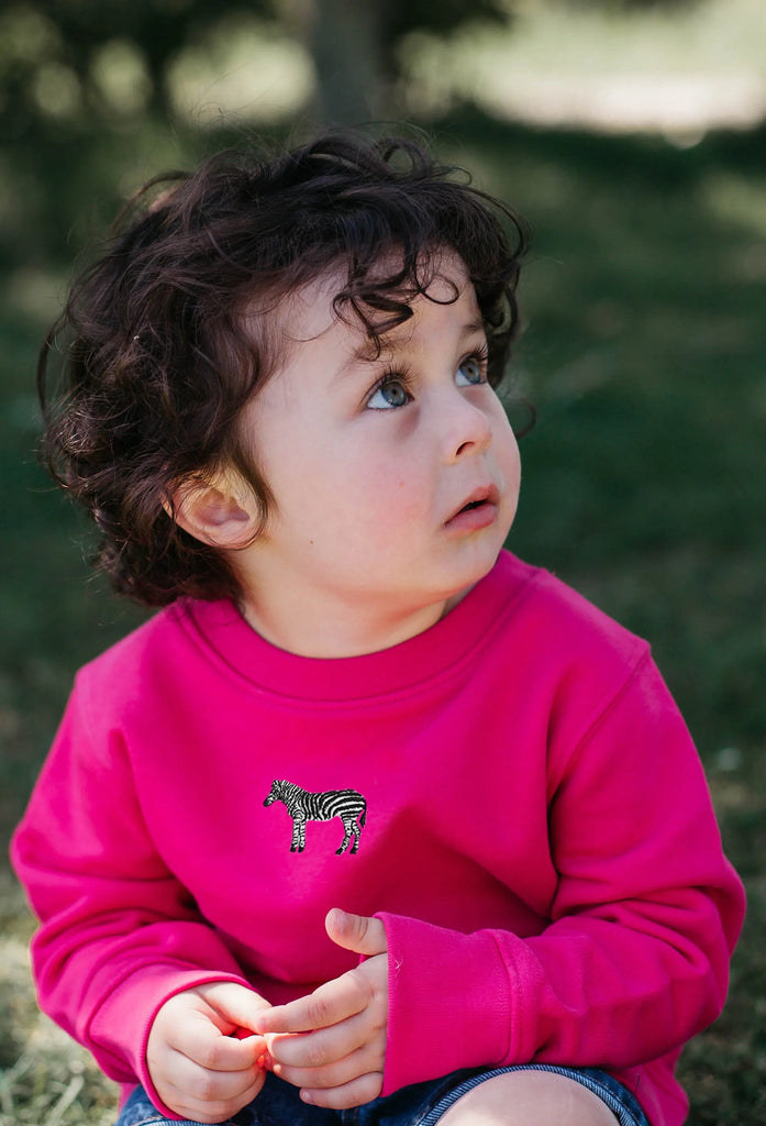 zebra childrens sweatshirt Big Wild Thought