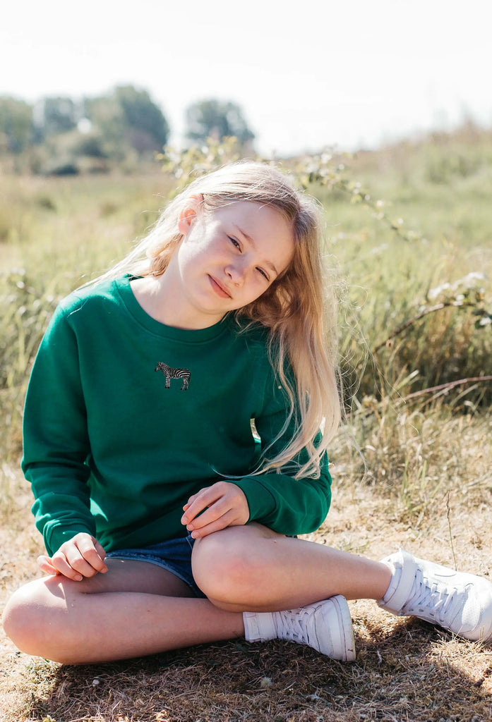 zebra childrens sweatshirt Big Wild Thought