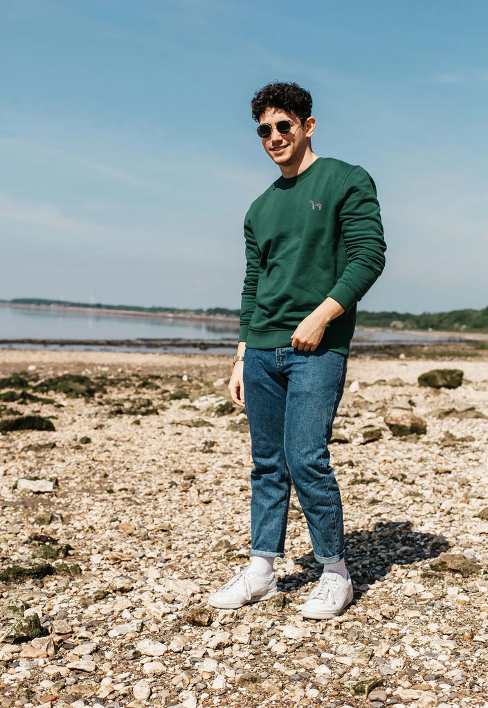 zebra mens sweatshirt Big Wild Thought