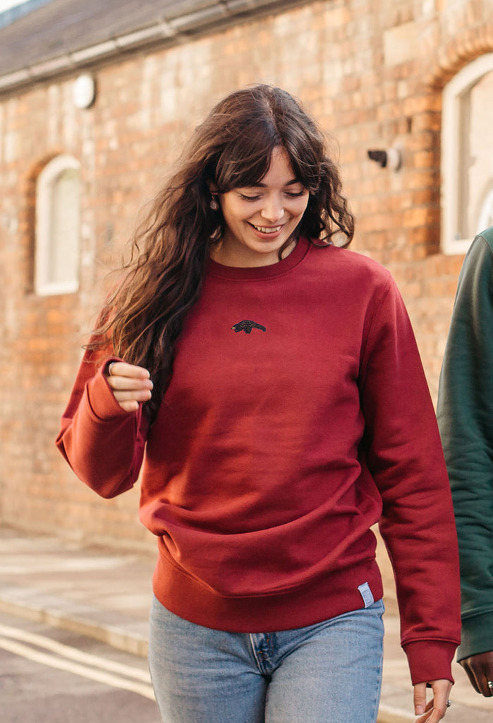 pangolin womens sweatshirt Big Wild Thought