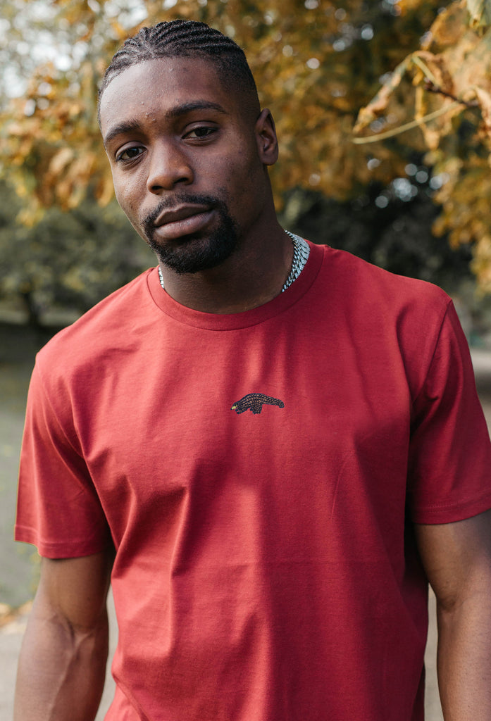 pangolin mens t-shirt Big Wild Thought
