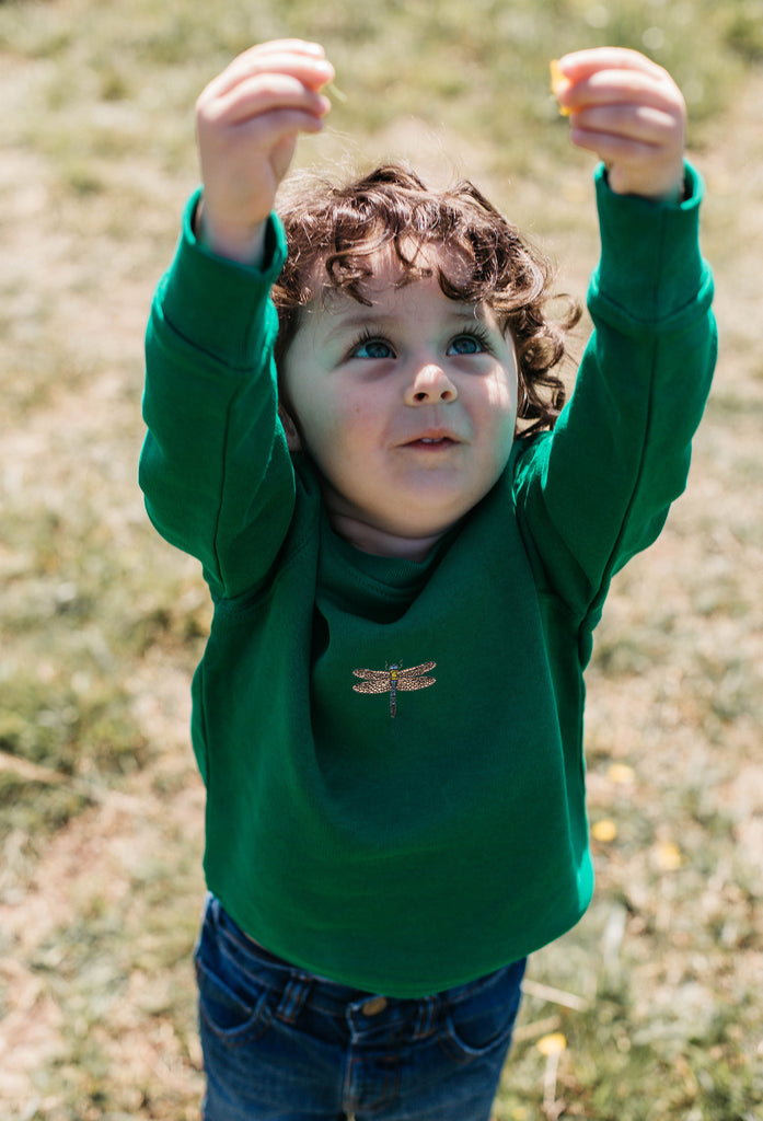 dragonfly childrens sweatshirt Big Wild Thought