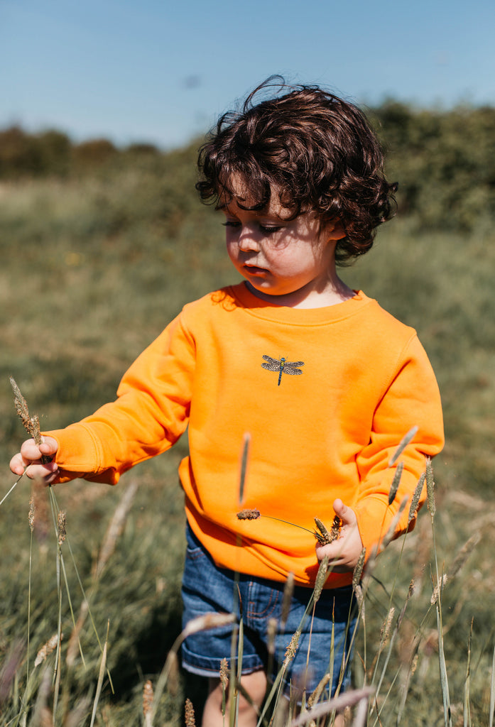 dragonfly childrens sweatshirt Big Wild Thought