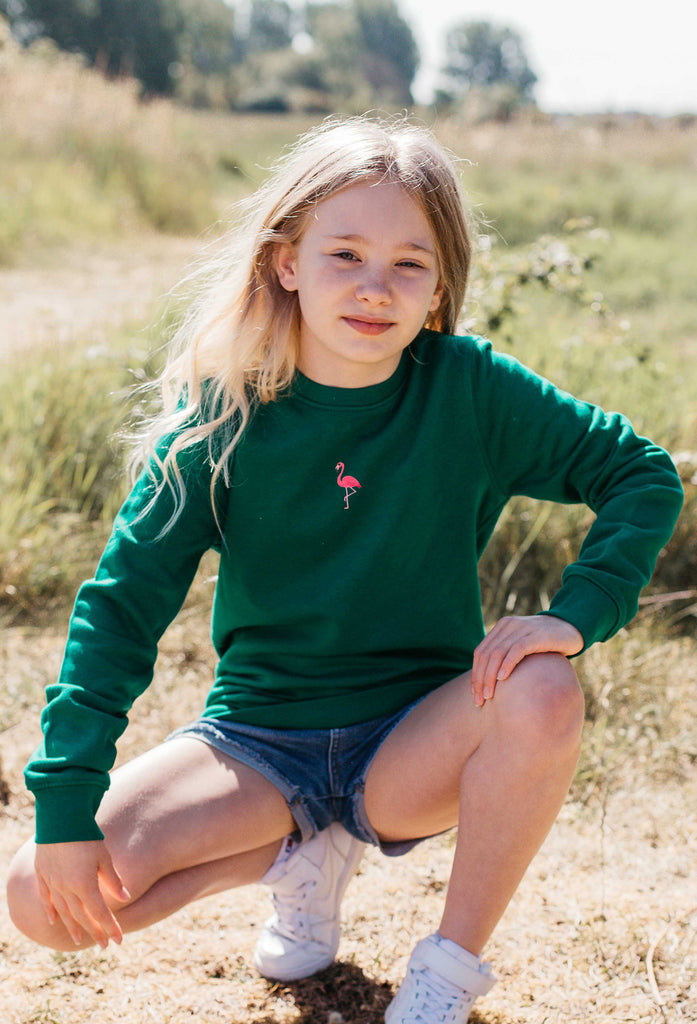 flamingo childrens sweatshirt Big Wild Thought