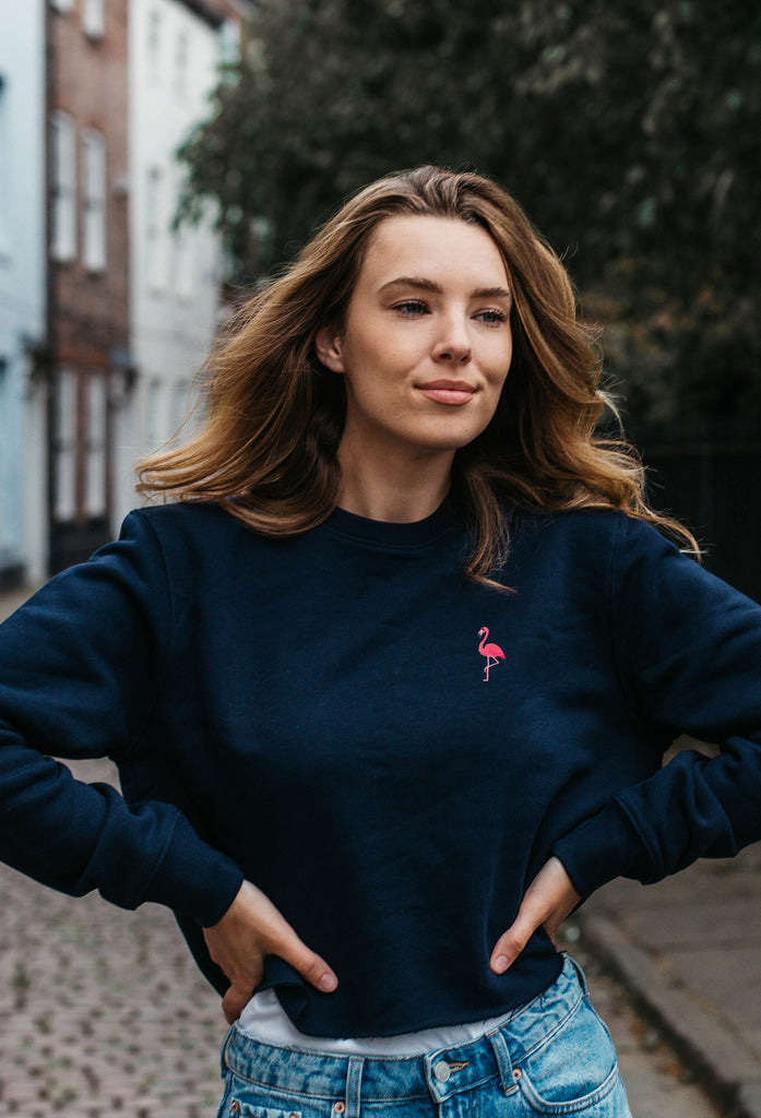 flamingo womens cropped sweatshirt Big Wild Thought