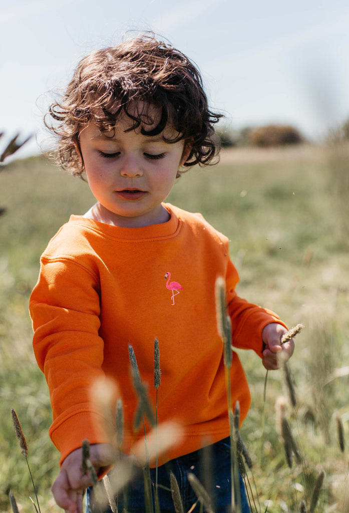flamingo childrens sweatshirt Big Wild Thought