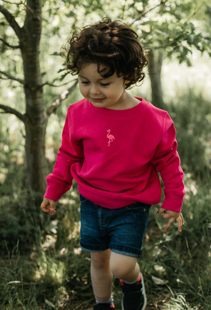 flamingo childrens sweatshirt Big Wild Thought