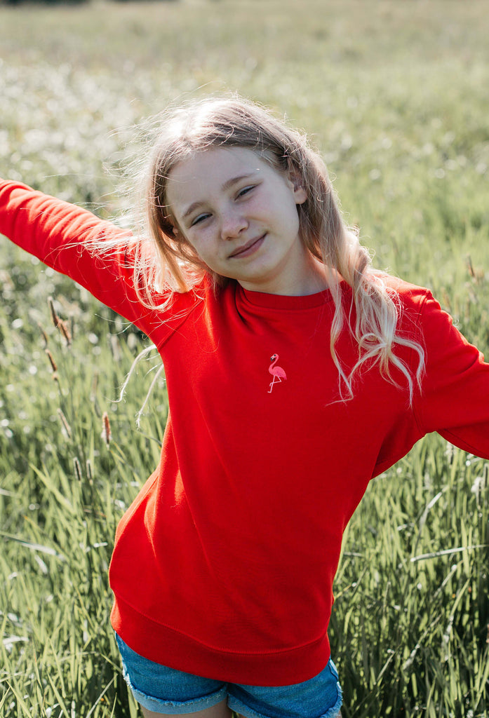 flamingo childrens sweatshirt Big Wild Thought