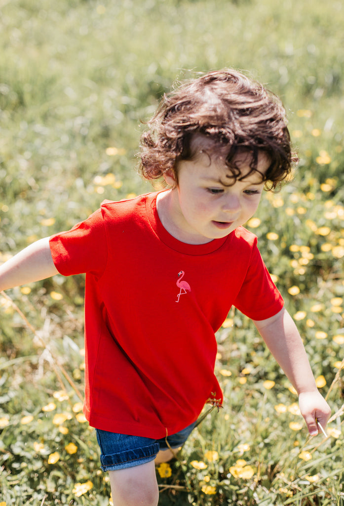 flamingo childrens t-shirt Big Wild Thought
