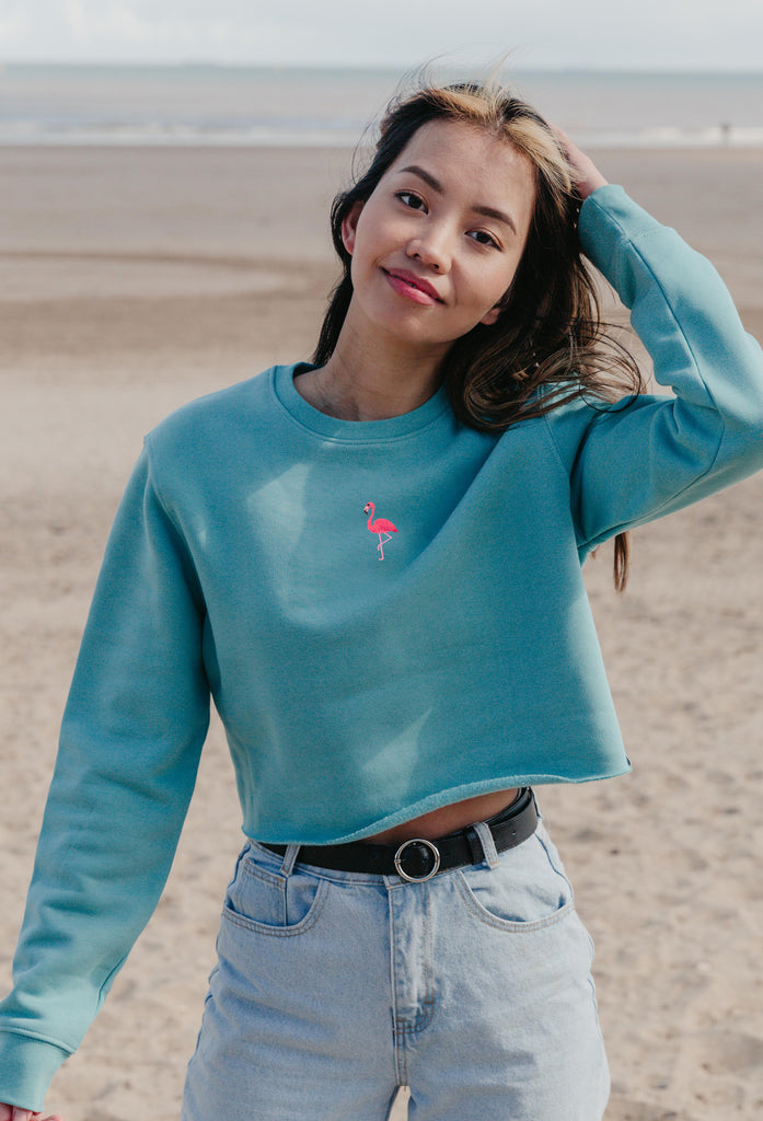 flamingo womens cropped sweatshirt Big Wild Thought