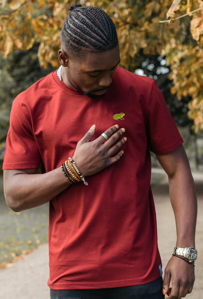 frog mens t-shirt Big Wild Thought