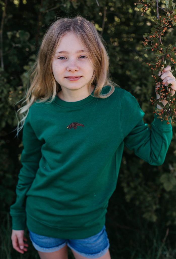 pangolin childrens sweatshirt Big Wild Thought