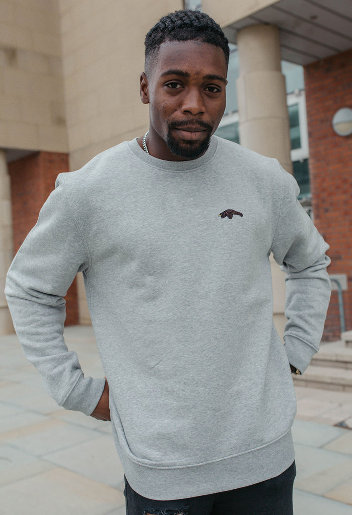Pangolin Unisex Embroidered Organic Sustainable Sweatshirt Jumper Big Wild Thought