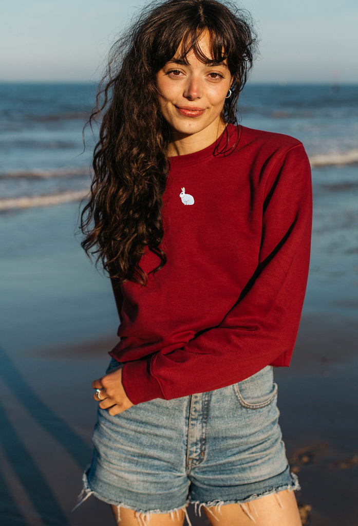 mountain hare womens cropped sweatshirt Big Wild Thought