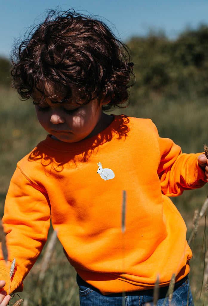 mountain hare childrens sweatshirt Big Wild Thought