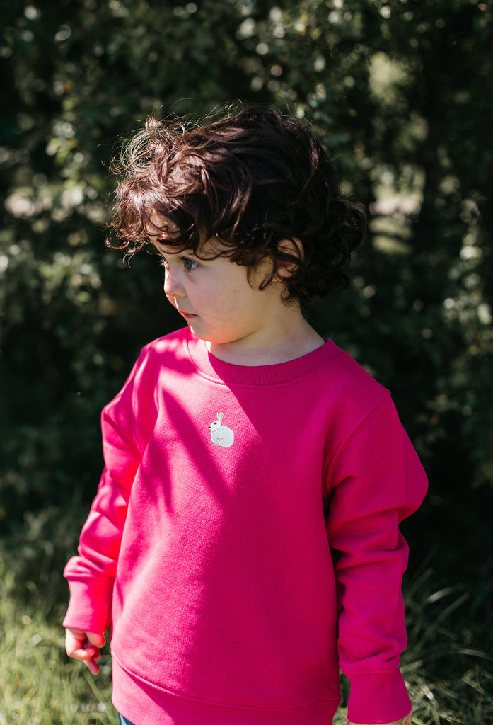 mountain hare childrens sweatshirt Big Wild Thought