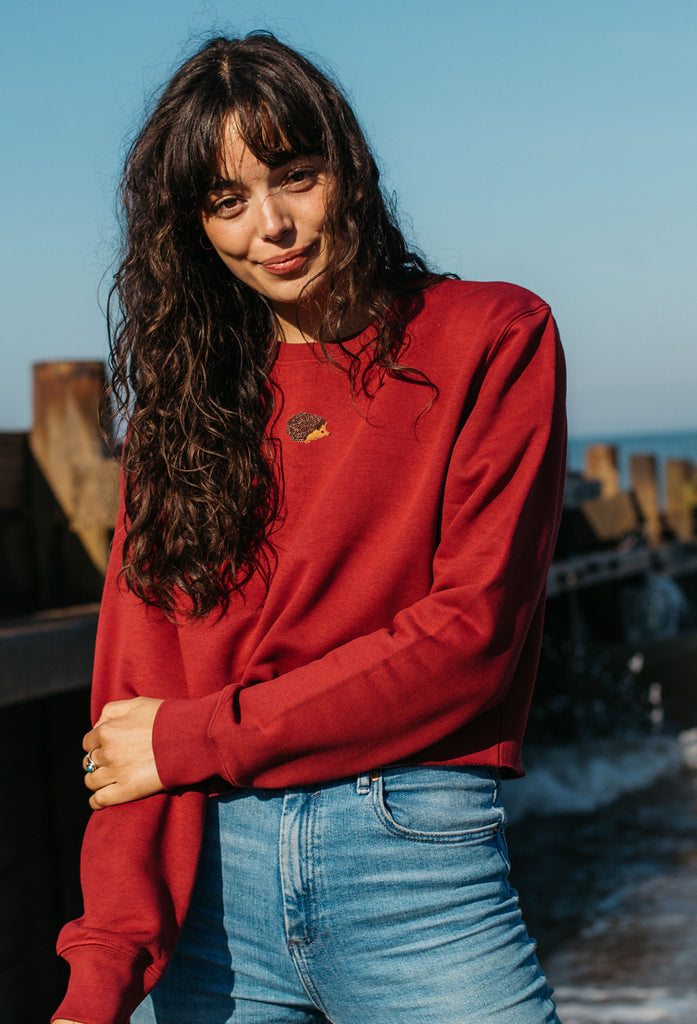 hedgehog womens cropped sweatshirt Big Wild Thought