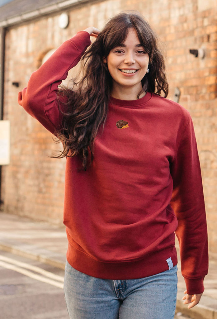 hedgehog womens sweatshirt Big Wild Thought