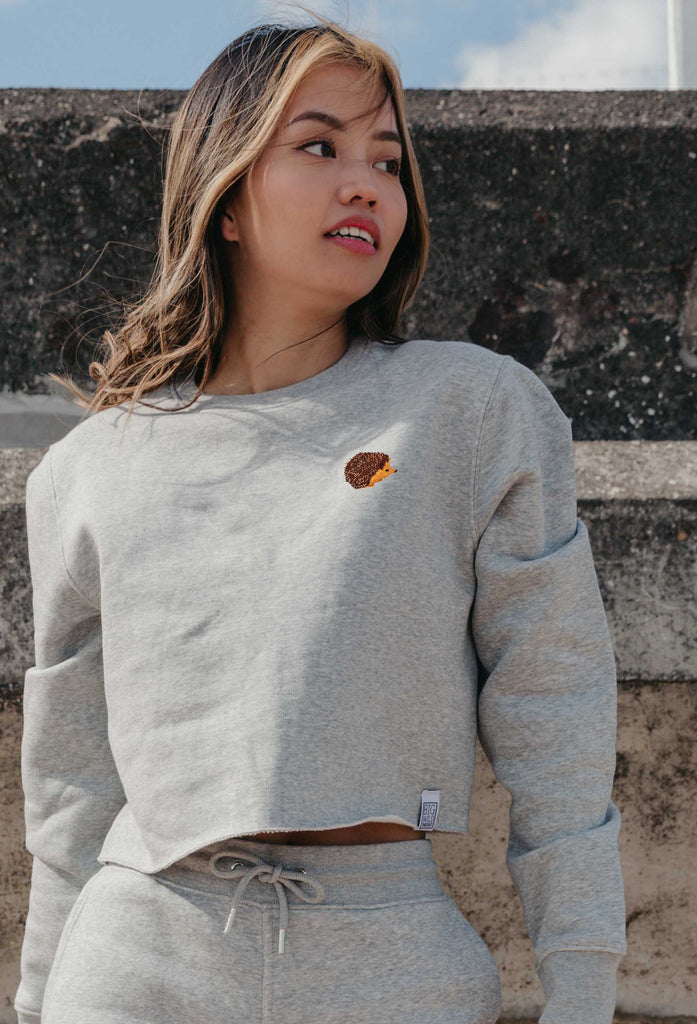 hedgehog womens cropped sweatshirt Big Wild Thought