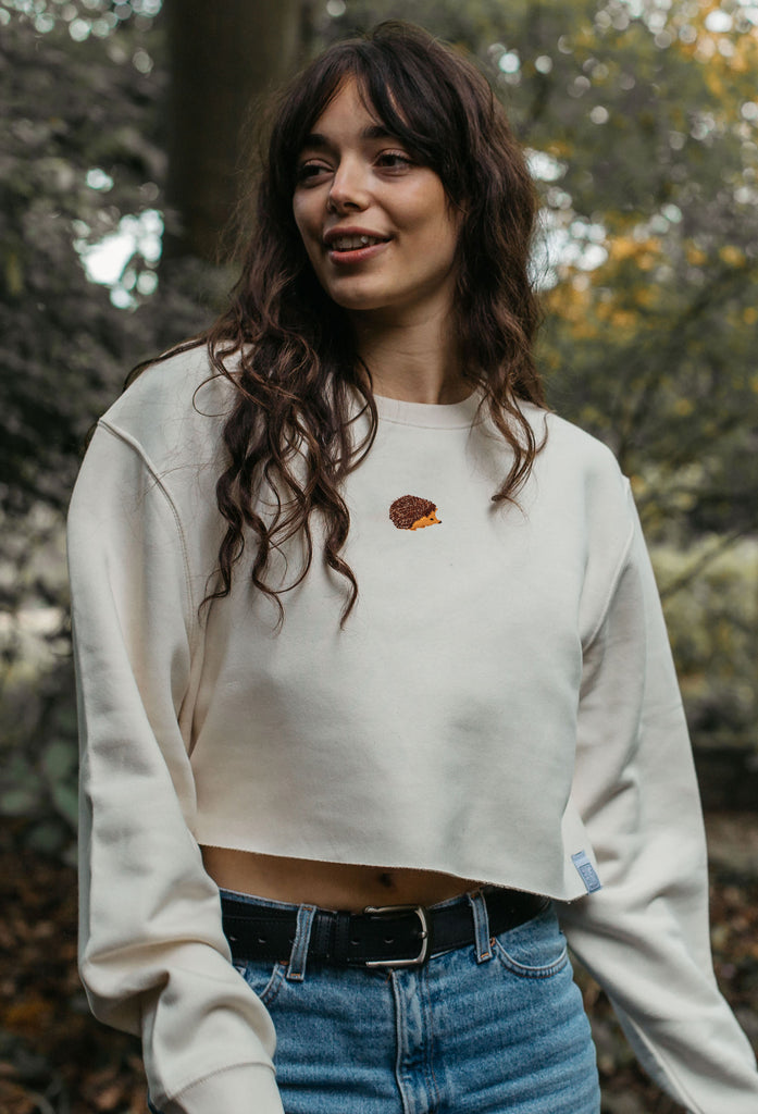 hedgehog womens cropped sweatshirt Big Wild Thought