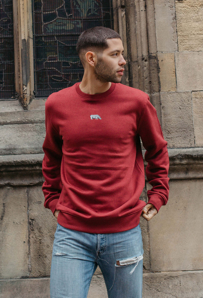 Hippo Unisex Embroidered Organic Sustainable Sweatshirt Jumper Big Wild Thought