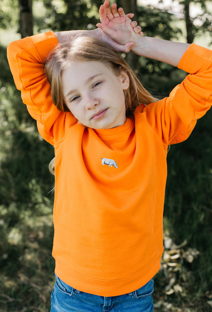 hippo childrens sweatshirt Big Wild Thought