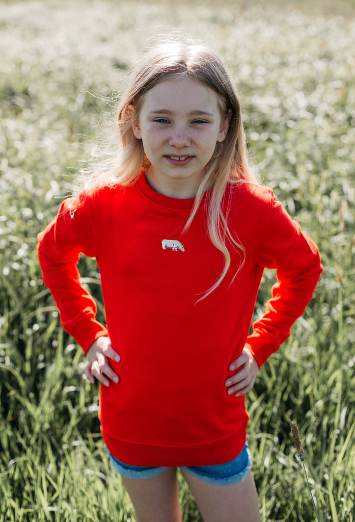 hippo childrens sweatshirt Big Wild Thought