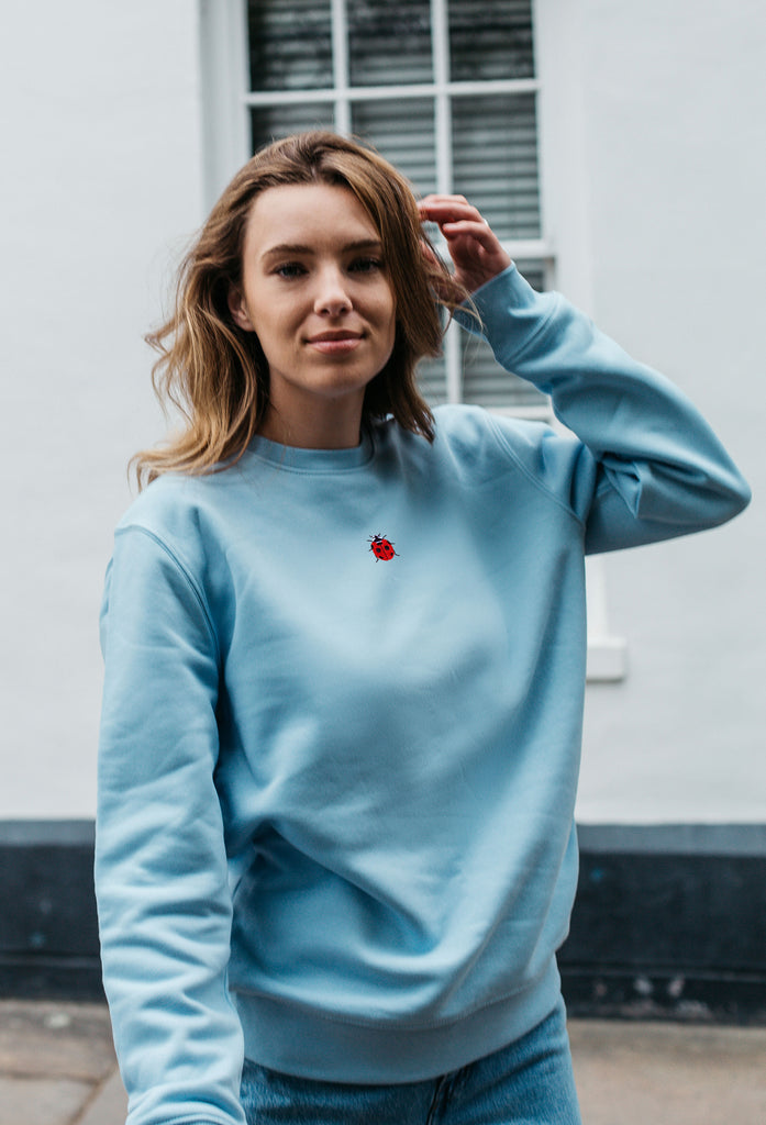 ladybird womens sweatshirt Big Wild Thought