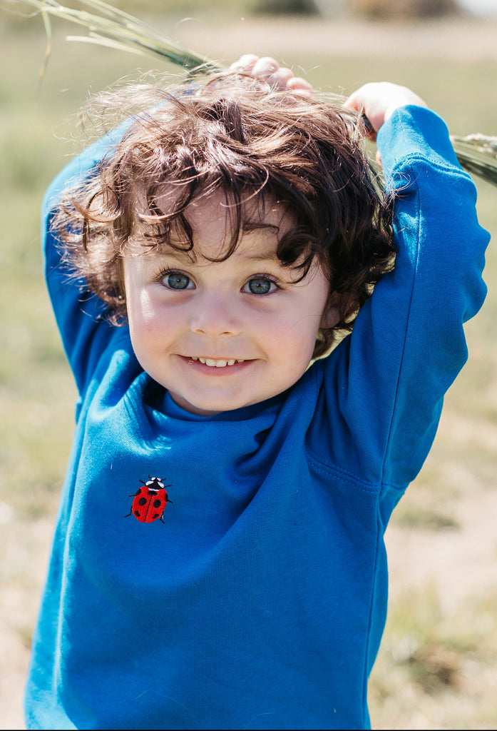 ladybird childrens sweatshirt Big Wild Thought