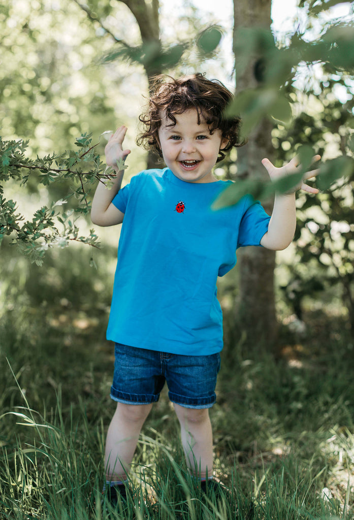 ladybird childrens t-shirt Big Wild Thought