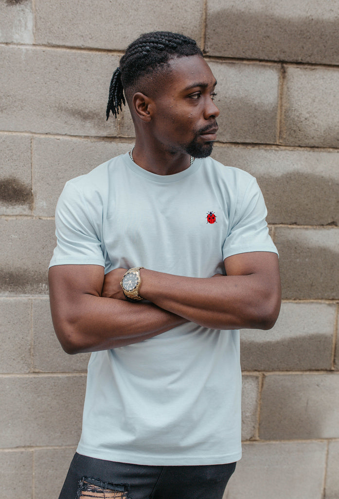 ladybird mens t-shirt Big Wild Thought