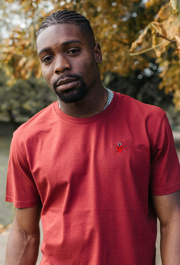 ladybird mens t-shirt Big Wild Thought