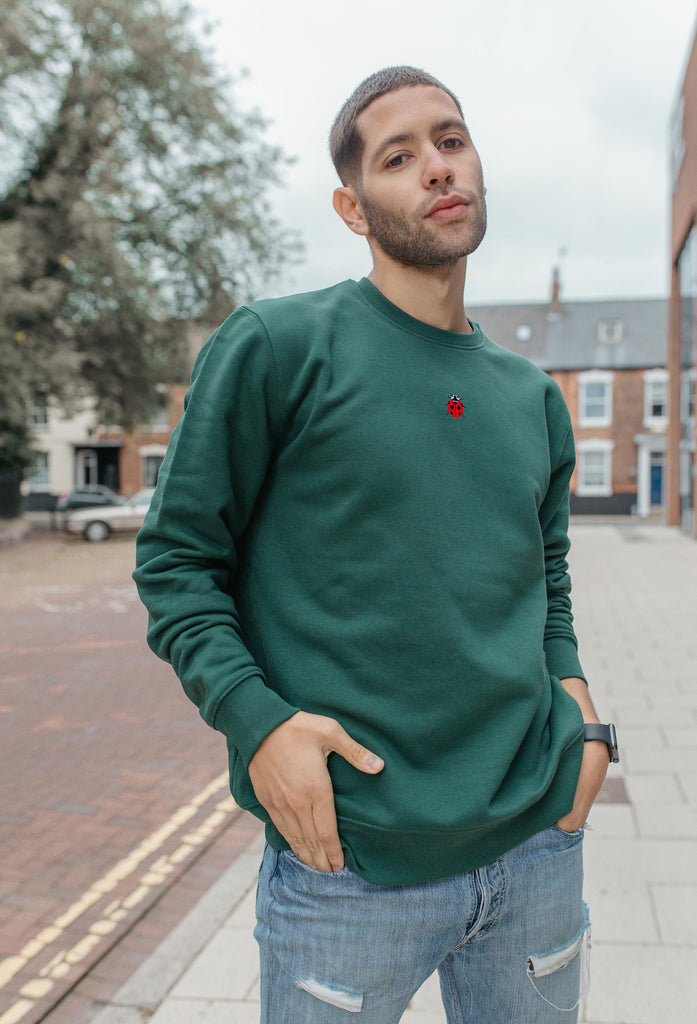 Ladybird Ladybug Unisex Embroidered Organic Sustainable Sweatshirt Jumper Big Wild Thought