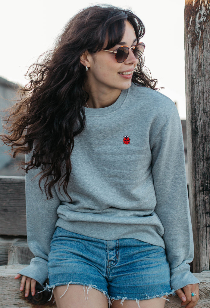 ladybird womens sweatshirt Big Wild Thought