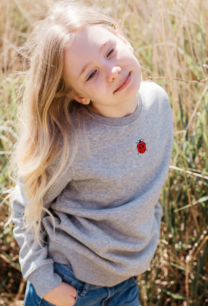 ladybird childrens sweatshirt Big Wild Thought
