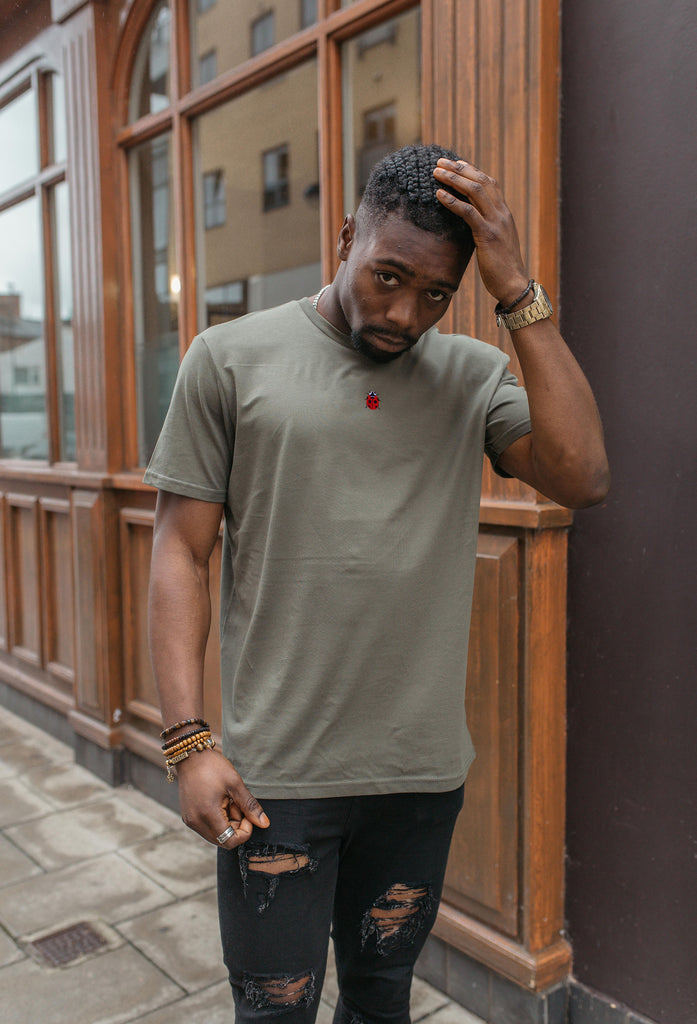 ladybird mens t-shirt Big Wild Thought