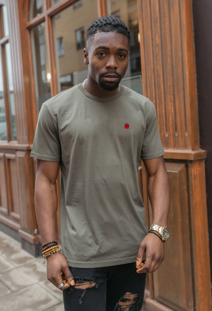 ladybird mens t-shirt Big Wild Thought
