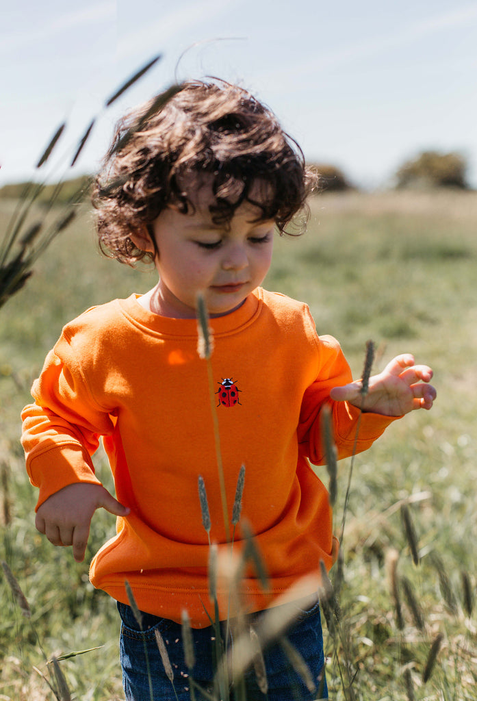 ladybird childrens sweatshirt Big Wild Thought