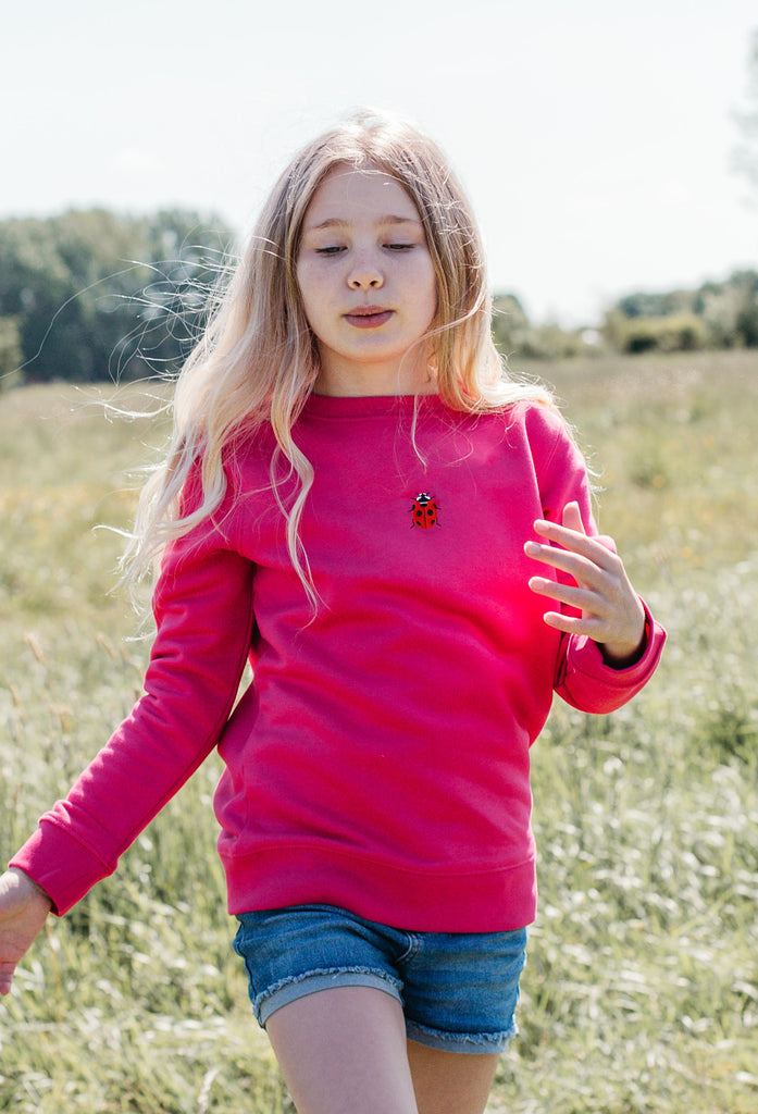 ladybird childrens sweatshirt Big Wild Thought