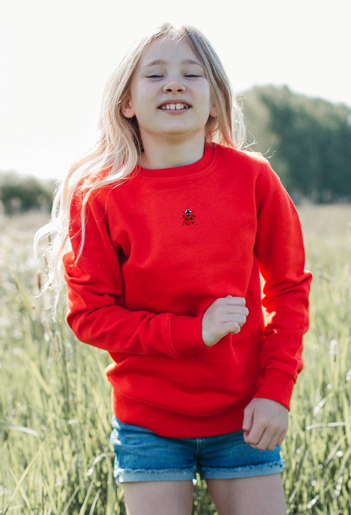 ladybird childrens sweatshirt Big Wild Thought
