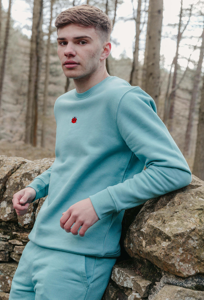 Ladybird Ladybug Unisex Embroidered Organic Sustainable Sweatshirt Jumper Big Wild Thought