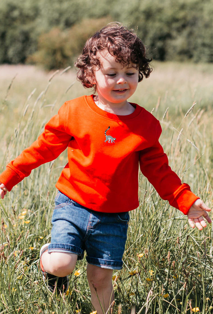 lemur childrens sweatshirt Big Wild Thought