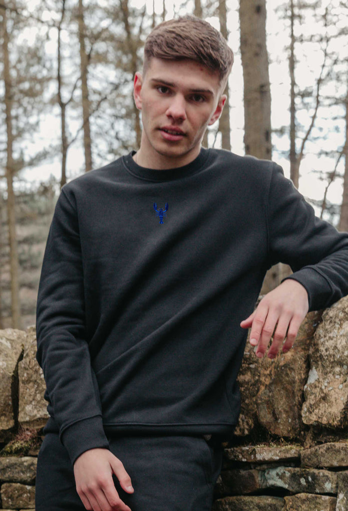 Lobster Unisex Embroidered Organic Sustainable Sweatshirt Jumper Big Wild Thought