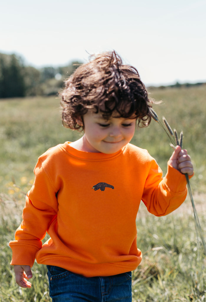 pangolin childrens sweatshirt Big Wild Thought