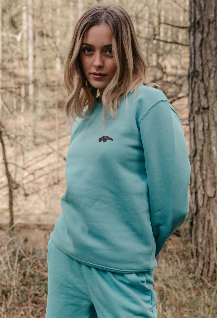 pangolin womens sweatshirt Big Wild Thought