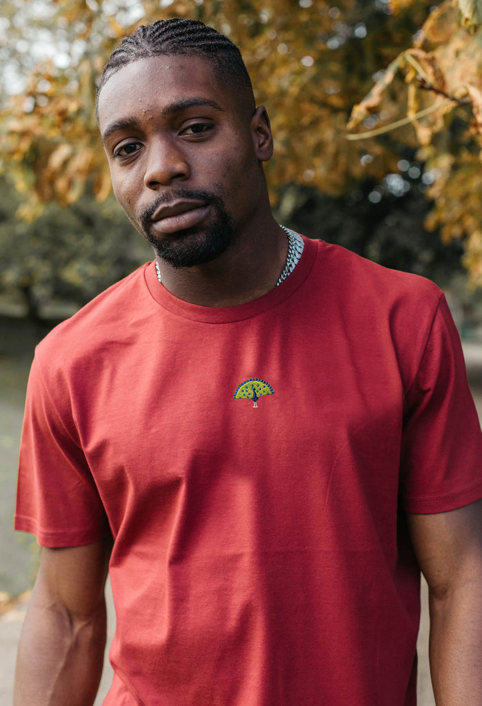 peacock mens t-shirt Big Wild Thought