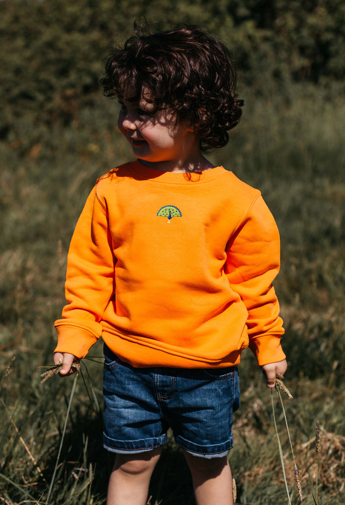 peacock childrens sweatshirt Big Wild Thought