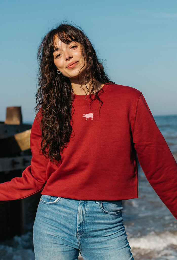 pig womens cropped sweatshirt Big Wild Thought