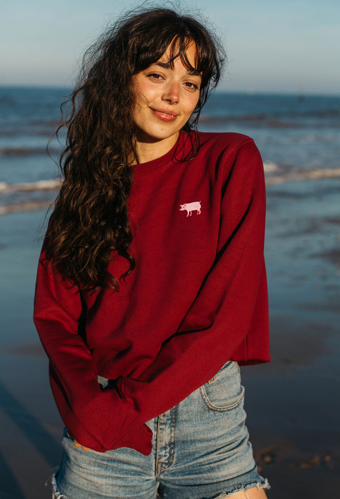 pig womens cropped sweatshirt Big Wild Thought