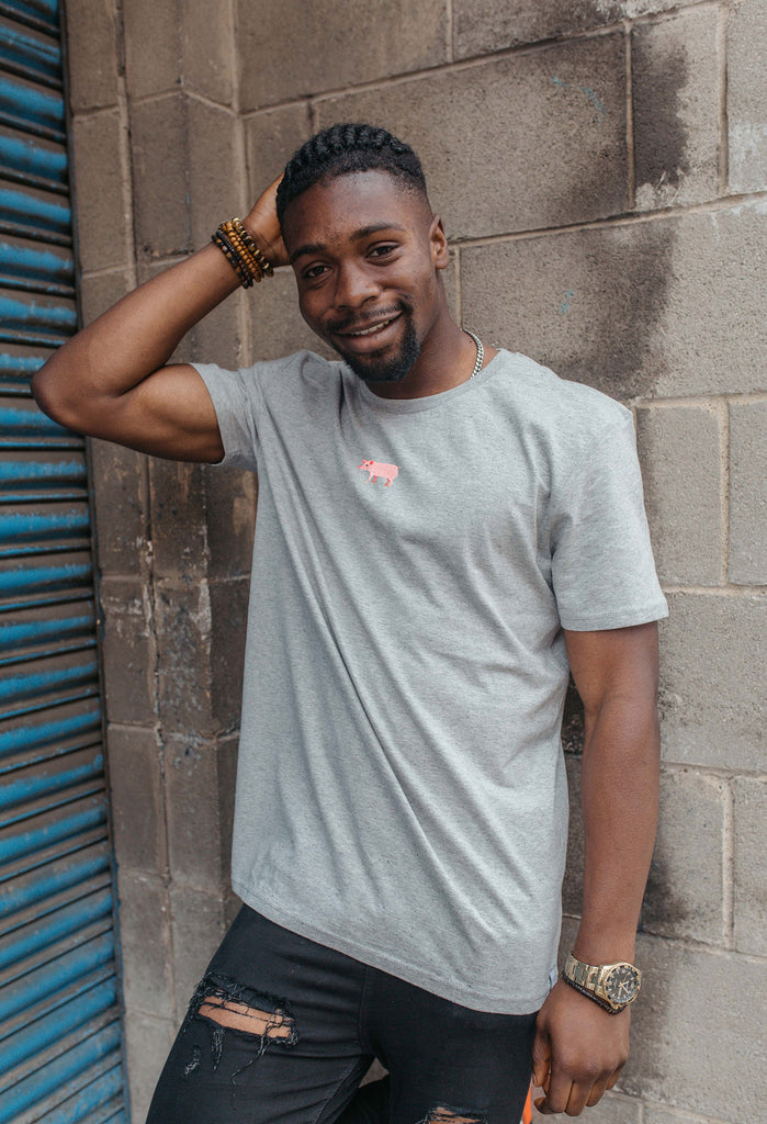 pig mens t-shirt Big Wild Thought